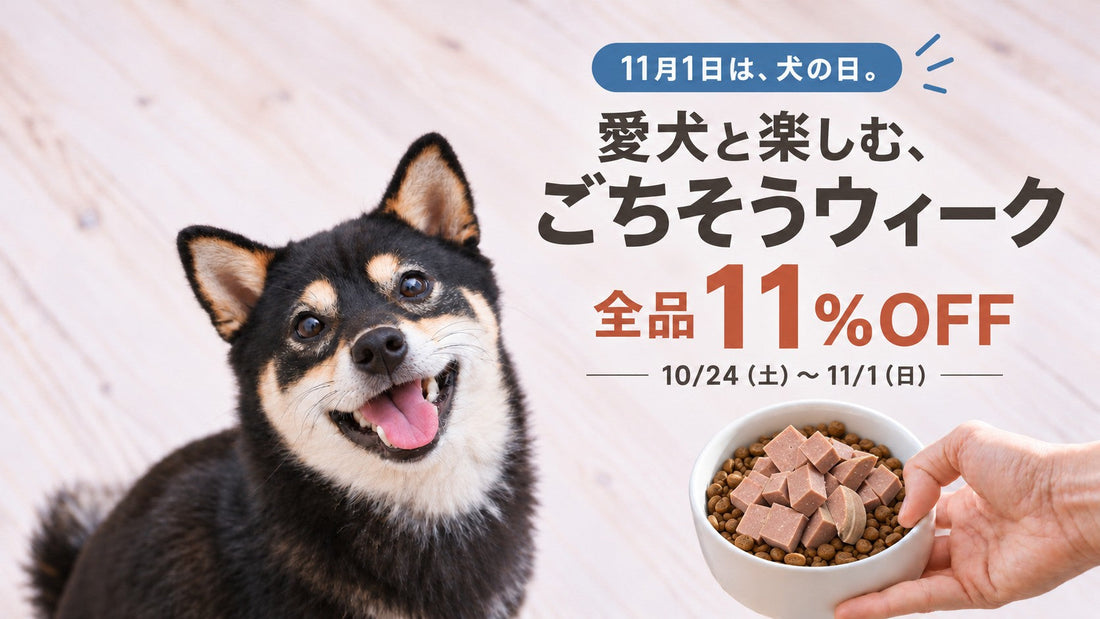 11月1日は犬の日。愛犬と楽しむ「ごちそうウィーク」を開催します！