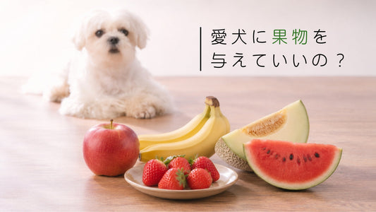 愛犬に果物を与えるメリットデメリット