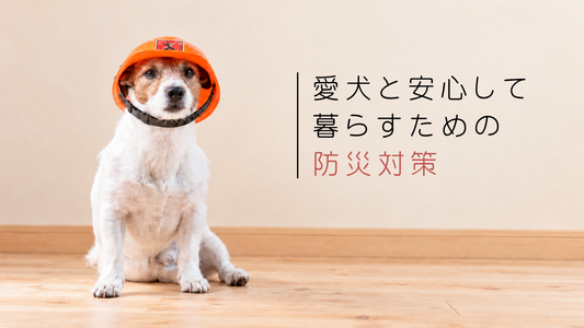獣医師が伝える「わんちゃんと安心して暮らすために今すぐ出来る災害対策」