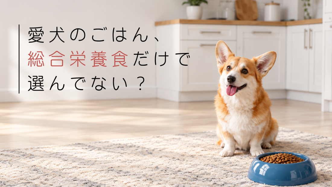 dog-complete-nutrition-guide