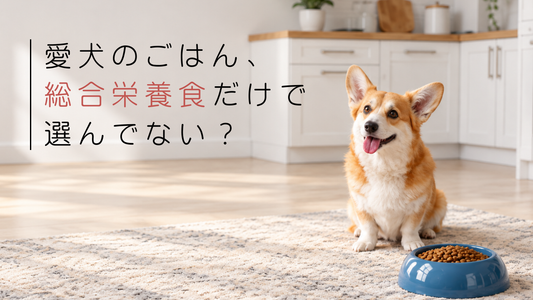 dog-complete-nutrition-guide