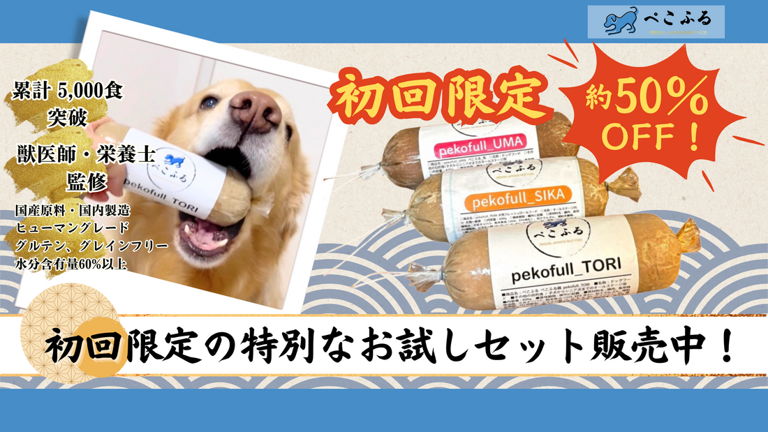 【初めての方へ】初回限定の特別なお試しセット販売中！