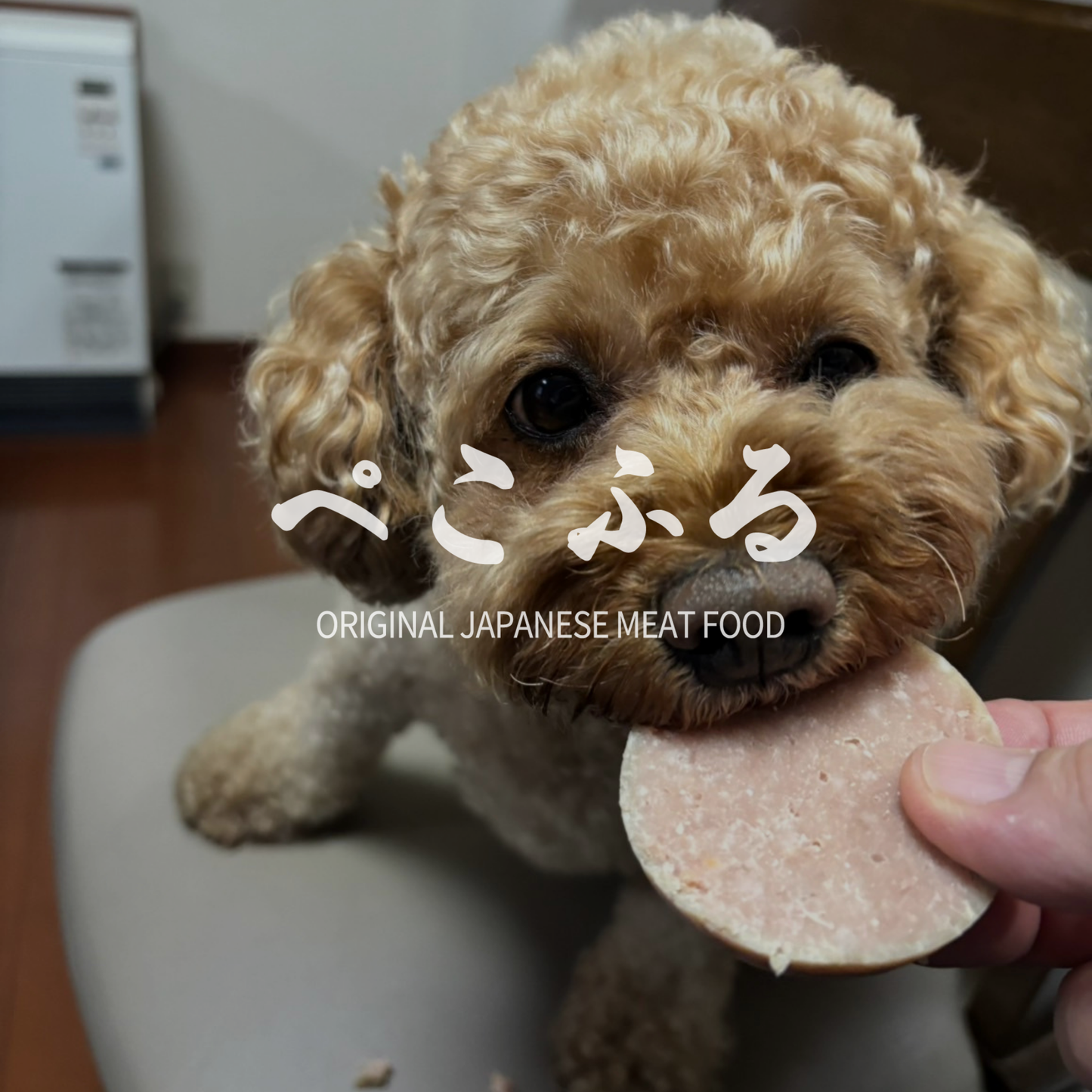 DOG ROLL FOOD<BEEF>　愛犬用ロールフード（冷蔵）