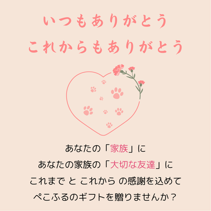 【ギフトセット】　生ふりかけ2種×1袋　2袋ギフト（牛タン・にんじん）