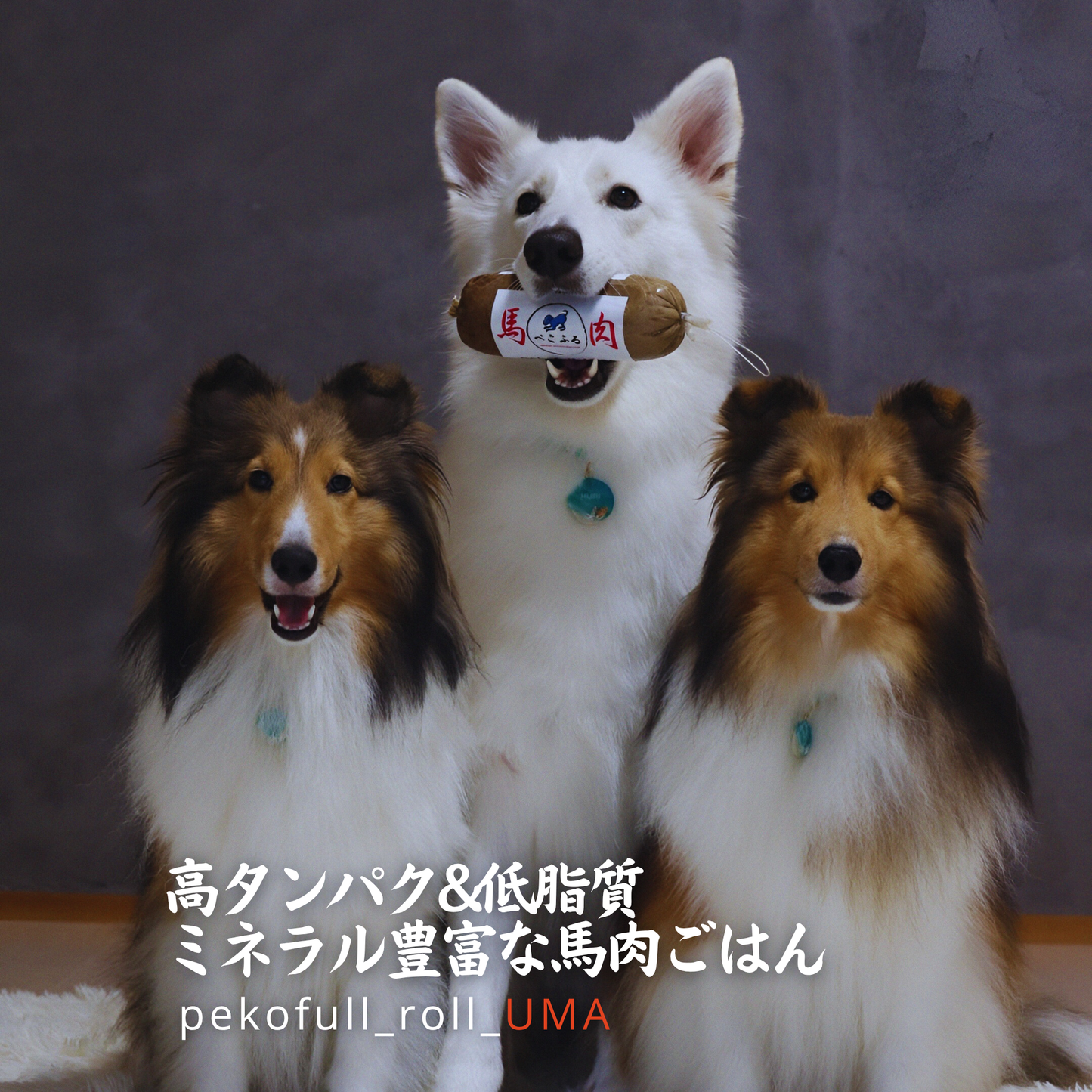 pekofull_UMA　愛犬用フレッシュロールフード（冷凍）