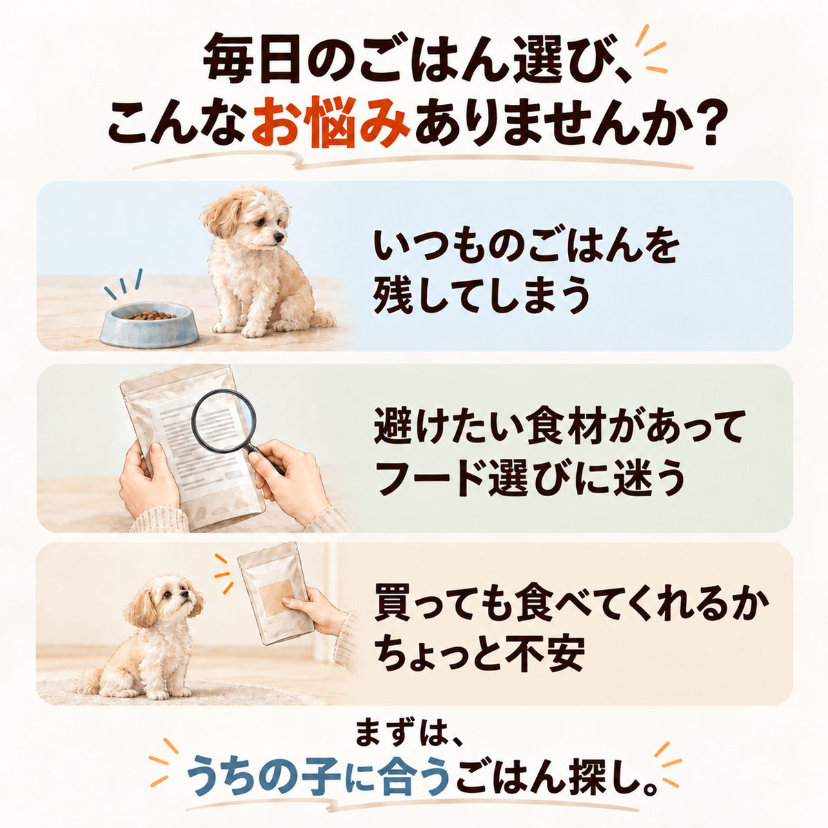 ぺこふる お試しセットのご案内 2