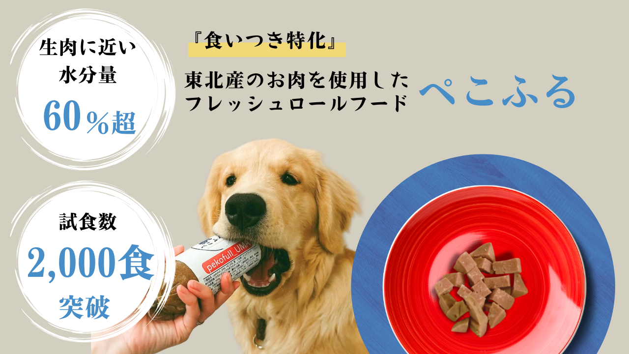 ピコネ ドックフード プードル picone 未開封 おとなおいしい ピコネ ドックフード プードル picone 未開封 おとなおいしい